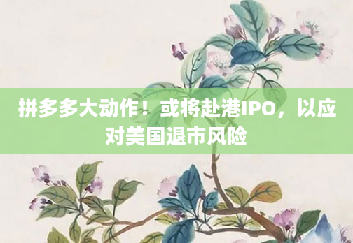 拼多多大动作！或将赴港IPO，以应对美国退市风险