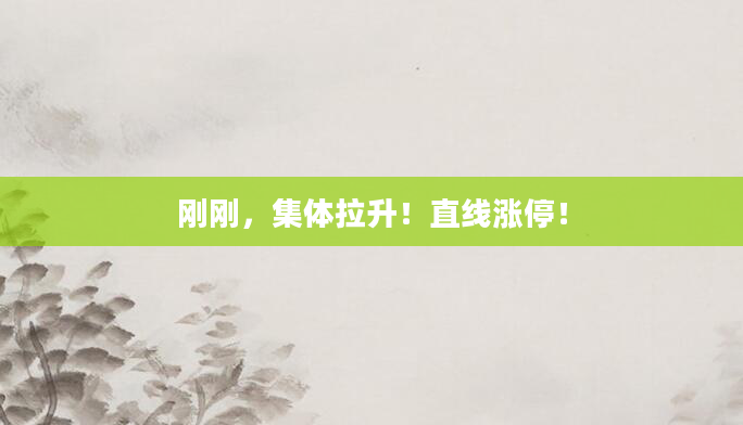 刚刚，集体拉升！直线涨停！