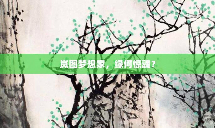 岚图梦想家，缘何惊魂？