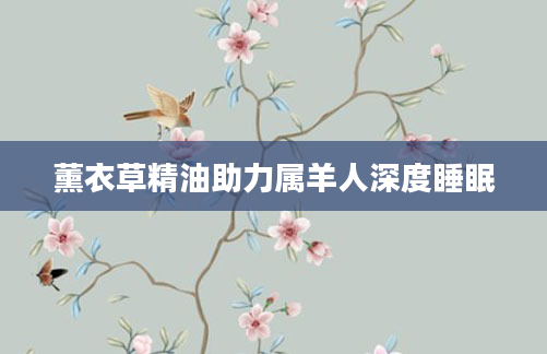 薰衣草精油助力属羊人深度睡眠