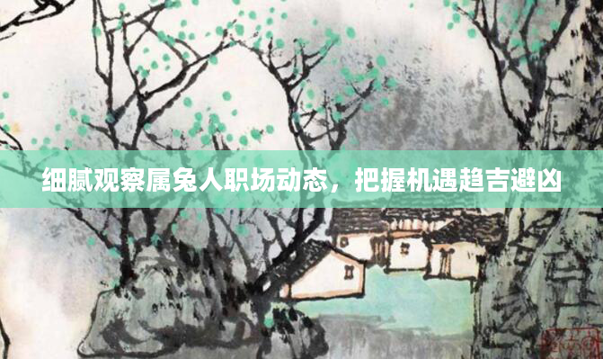 细腻观察属兔人职场动态，把握机遇趋吉避凶