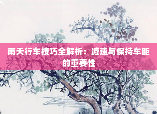 雨天行车技巧全解析：减速与保持车距的重要性