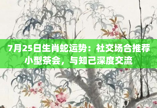 7月25日生肖蛇运势：社交场合推荐小型茶会，与知己深度交流