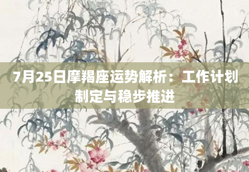 7月25日摩羯座运势解析：工作计划制定与稳步推进