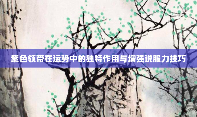 紫色领带在运势中的独特作用与增强说服力技巧