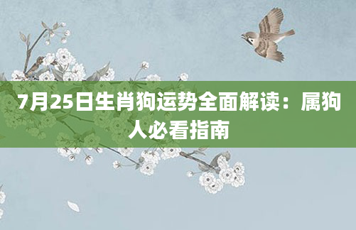 7月25日生肖狗运势全面解读：属狗人必看指南