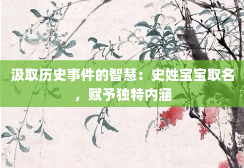 汲取历史事件的智慧：史姓宝宝取名，赋予独特内涵