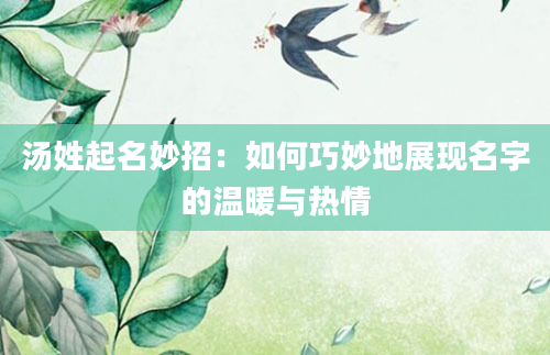 汤姓起名妙招：如何巧妙地展现名字的温暖与热情