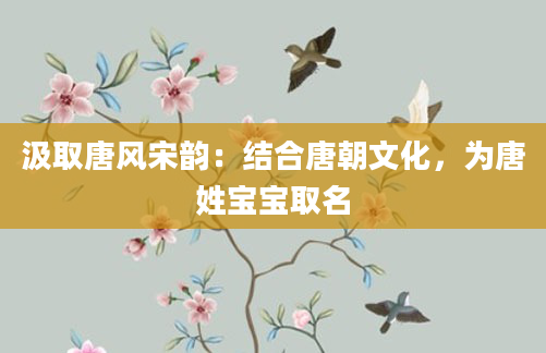 汲取唐风宋韵：结合唐朝文化，为唐姓宝宝取名