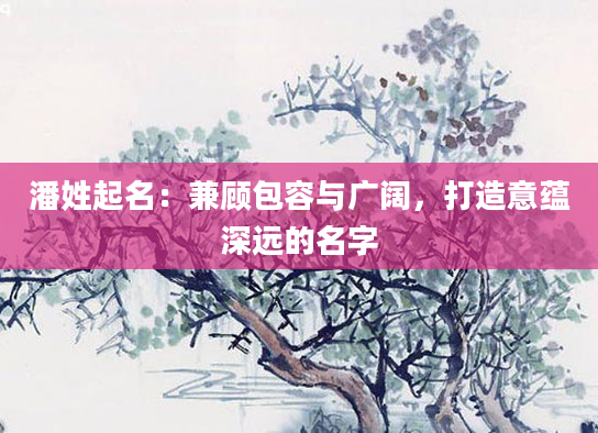 潘姓起名：兼顾包容与广阔，打造意蕴深远的名字