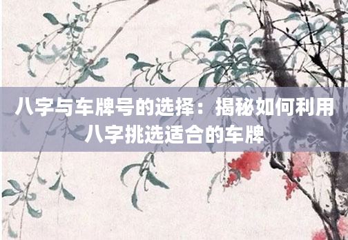 八字与车牌号的选择：揭秘如何利用八字挑选适合的车牌