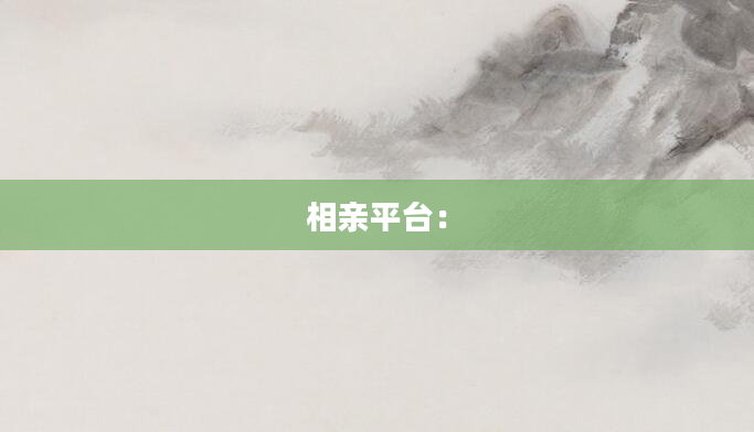 相亲平台：
