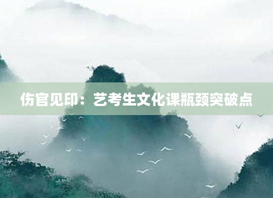 伤官见印：艺考生文化课瓶颈突破点