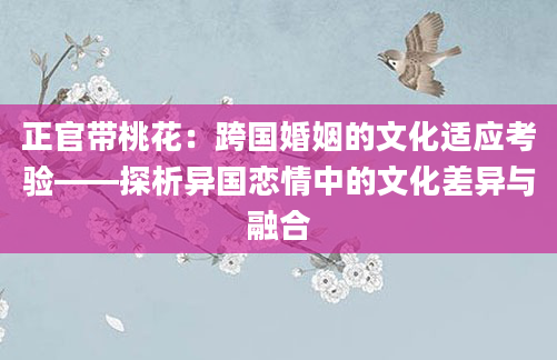 正官带桃花：跨国婚姻的文化适应考验——探析异国恋情中的文化差异与融合