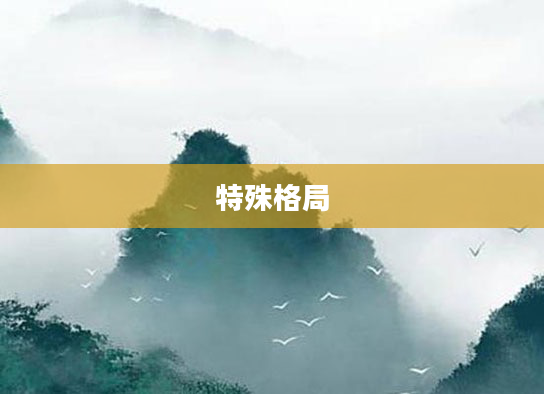 特殊格局