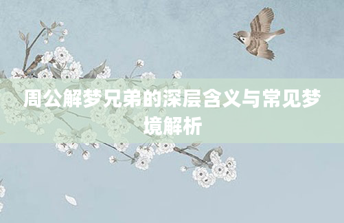 周公解梦兄弟的深层含义与常见梦境解析