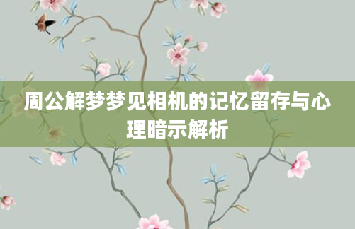 周公解梦梦见相机的记忆留存与心理暗示解析