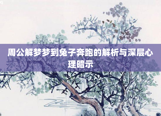 周公解梦梦到兔子奔跑的解析与深层心理暗示
