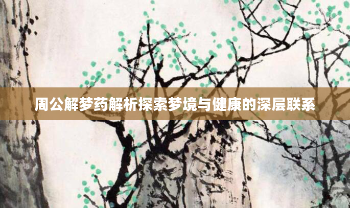 周公解梦药解析探索梦境与健康的深层联系