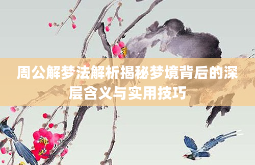 周公解梦法解析揭秘梦境背后的深层含义与实用技巧