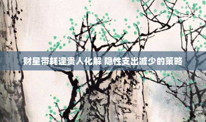 财星带耗逢贵人化解 隐性支出减少的策略