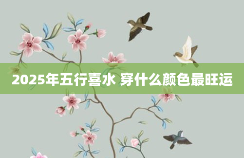 2025年五行喜水 穿什么颜色最旺运