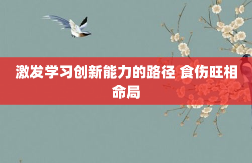 激发学习创新能力的路径 食伤旺相命局