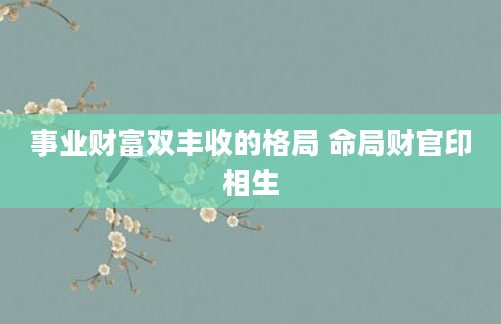 事业财富双丰收的格局 命局财官印相生