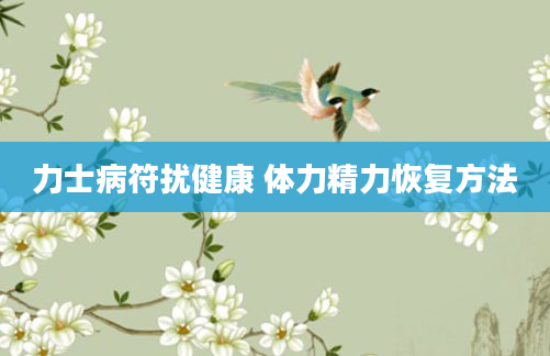 力士病符扰健康 体力精力恢复方法