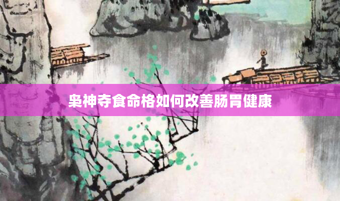枭神夺食命格如何改善肠胃健康