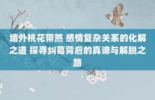 墙外桃花带煞 感情复杂关系的化解之道 探寻纠葛背后的真谛与解脱之路
