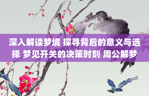 深入解读梦境 探寻背后的意义与选择 梦见开关的决策时刻 周公解梦