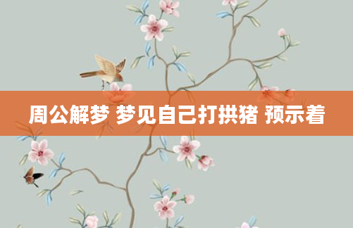 周公解梦 梦见自己打拱猪 预示着