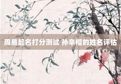 周易起名打分测试 孙辛榴的姓名评估