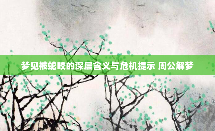 梦见被蛇咬的深层含义与危机提示 周公解梦