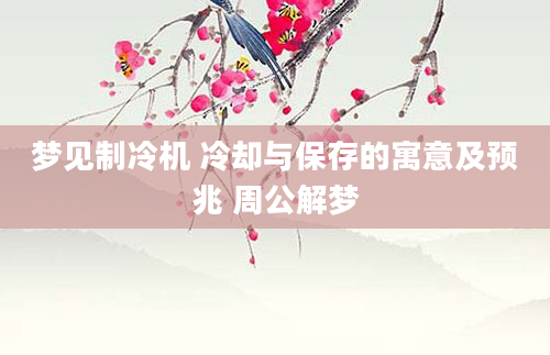 梦见制冷机 冷却与保存的寓意及预兆 周公解梦