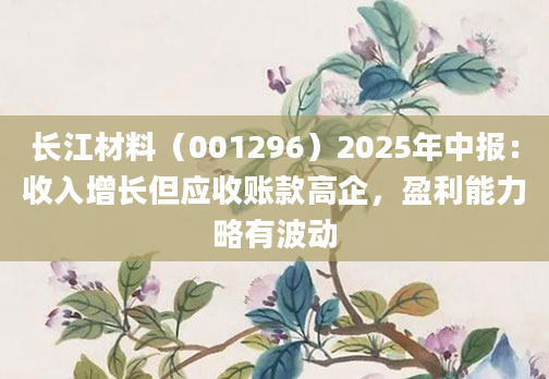 长江材料（001296）2025年中报：收入增长但应收账款高企，盈利能力略有波动