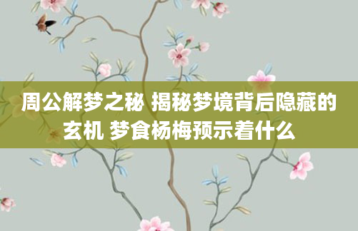 周公解梦之秘 揭秘梦境背后隐藏的玄机 梦食杨梅预示着什么