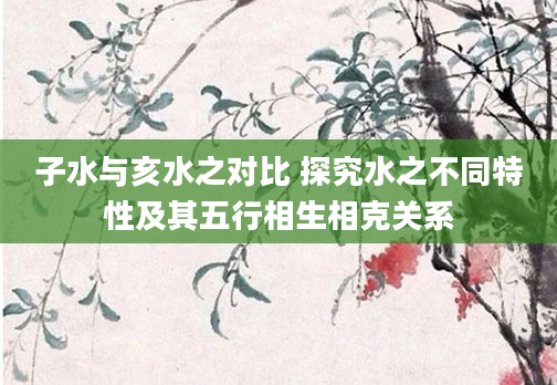 子水与亥水之对比 探究水之不同特性及其五行相生相克关系