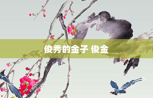 俊秀的金子 俊金