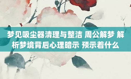 梦见吸尘器清理与整洁 周公解梦 解析梦境背后心理暗示 预示着什么