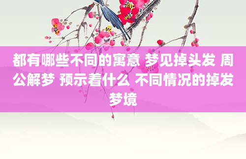 都有哪些不同的寓意 梦见掉头发 周公解梦 预示着什么 不同情况的掉发梦境