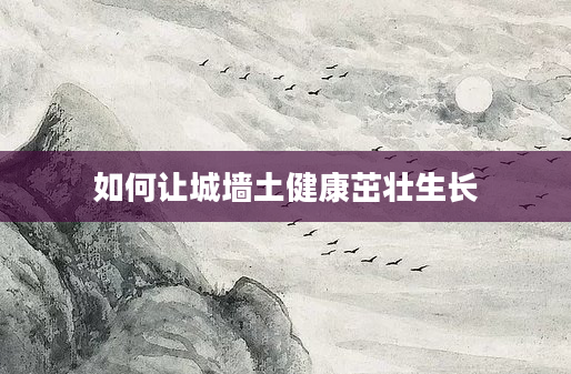 如何让城墙土健康茁壮生长