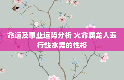 命运及事业运势分析 火命属龙人五行缺水男的性格
