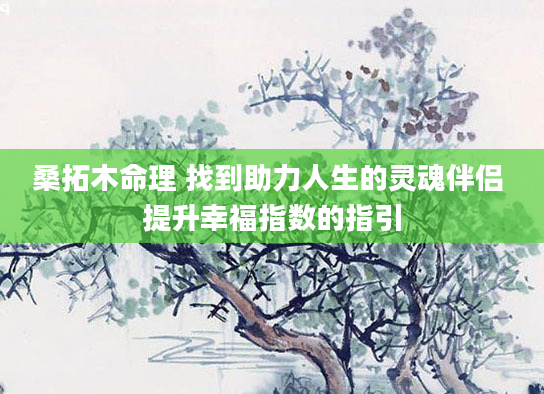 桑拓木命理 找到助力人生的灵魂伴侣 提升幸福指数的指引