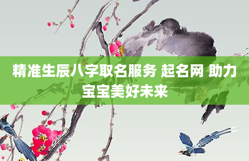 精准生辰八字取名服务 起名网 助力宝宝美好未来