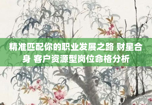 精准匹配你的职业发展之路 财星合身 客户资源型岗位命格分析