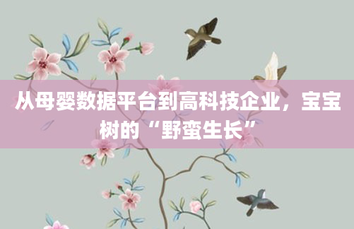 从母婴数据平台到高科技企业，宝宝树的“野蛮生长”