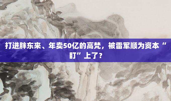 打进胖东来、年卖50亿的高梵，被雷军顺为资本“盯”上了？