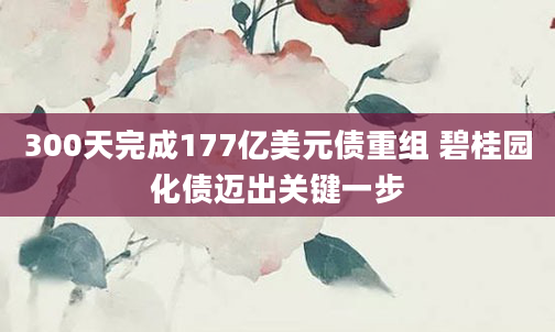 300天完成177亿美元债重组 碧桂园化债迈出关键一步